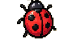 Coccinelle