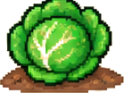 Kohl